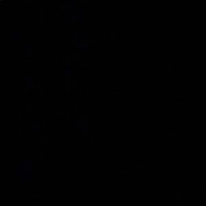 Meet your Posher, Rayn